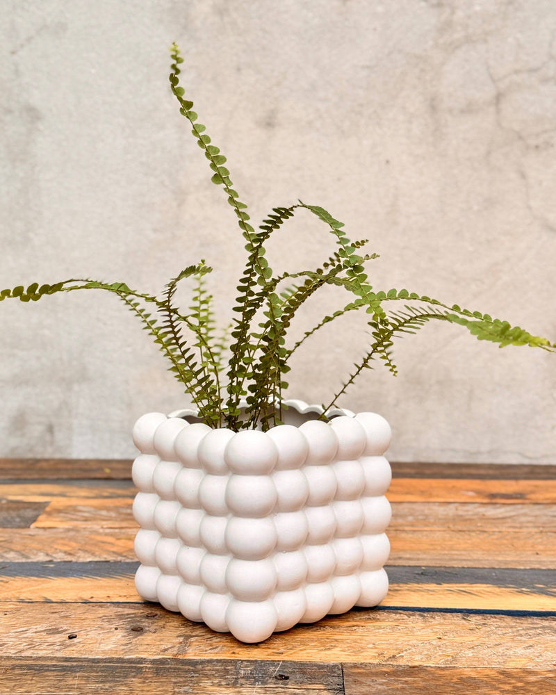 The Bubble Ceramic Cube Planter