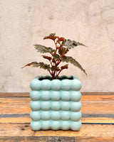 The Bubble Ceramic Cube Planter