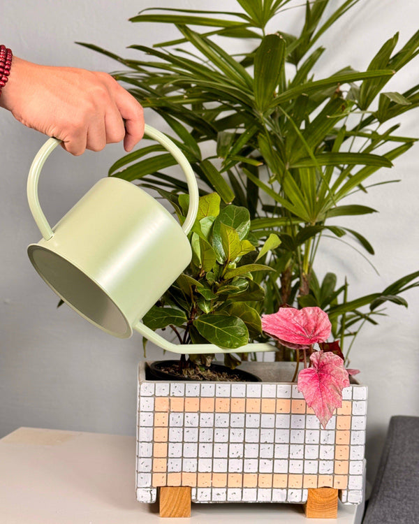 Classic Watering Can