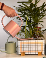 Classic Watering Can - Plant Daddy