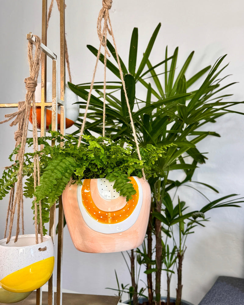 Berry Rainbow Hanging Planter