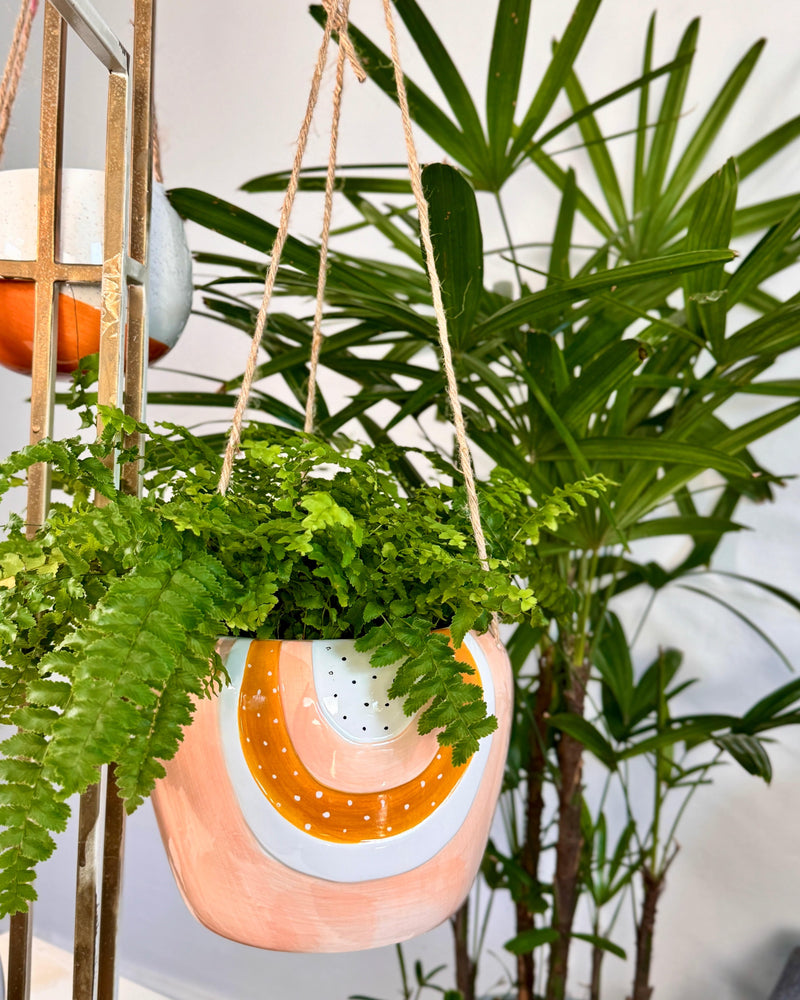 Berry Rainbow Hanging Planter