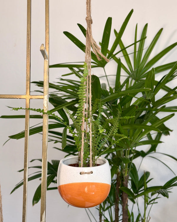 Wave Ceramic Hanging Planter- Burnt Orange