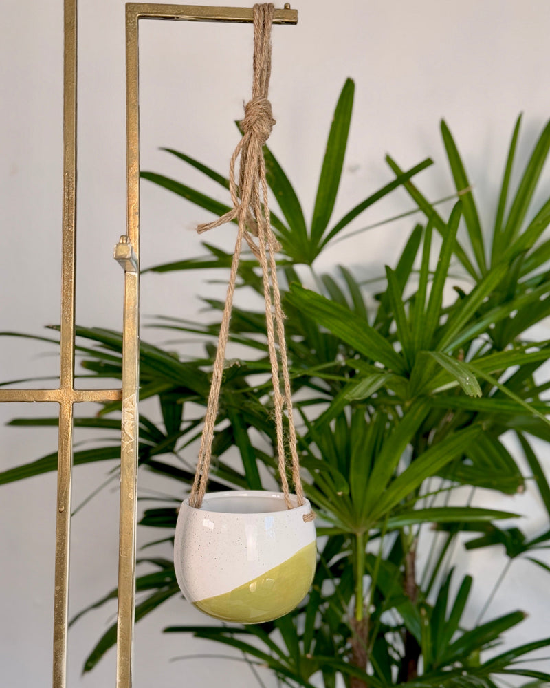 Wave Ceramic Hanging Planter