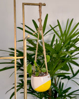 Wave Ceramic Hanging Planter