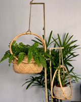 Campo Rattan Planter