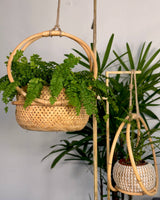 Campo Rattan Planter