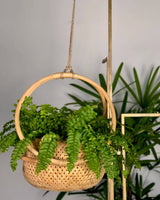 Campo Rattan Planter