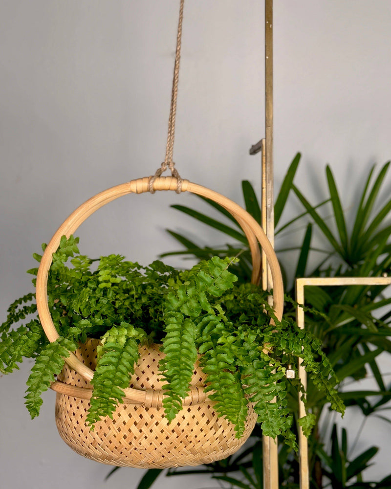 Campo Rattan Planter