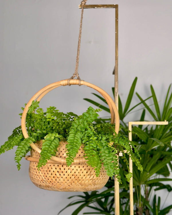 Campo Rattan Planter