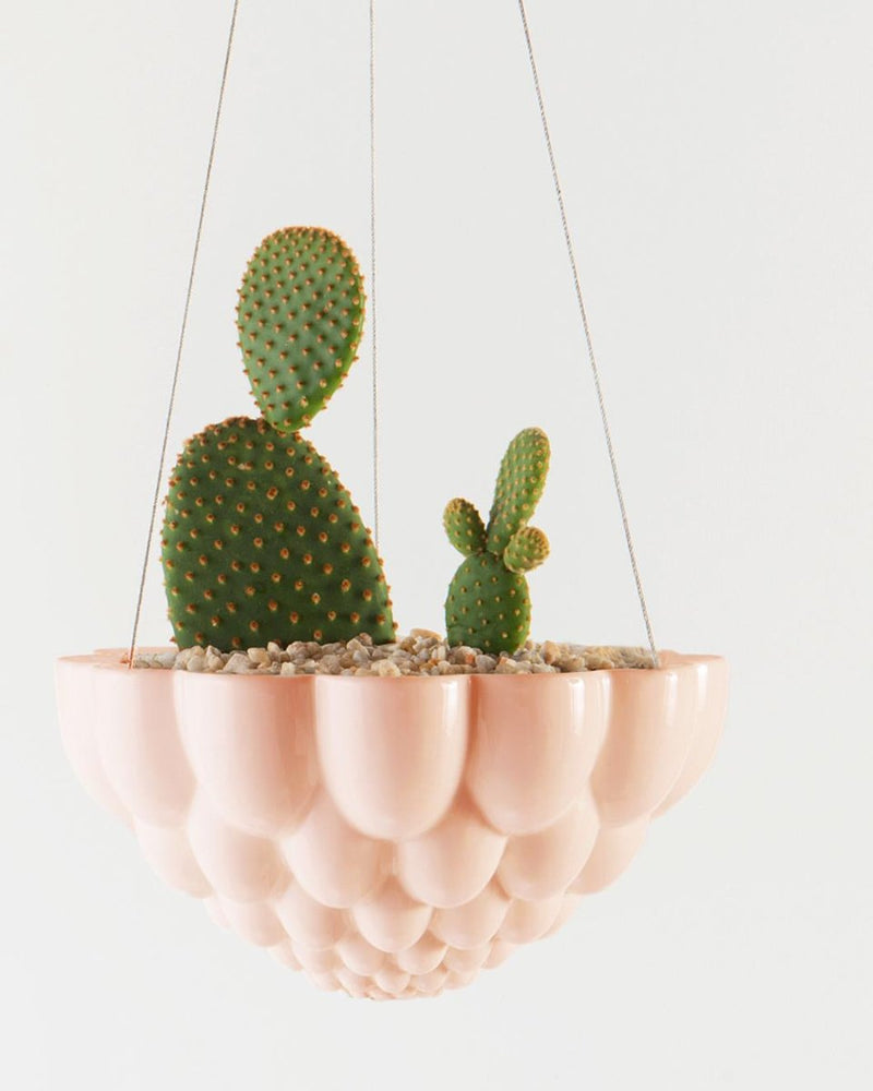 ceramic hanging planter australia Jelly Ceramic Hanging Pot