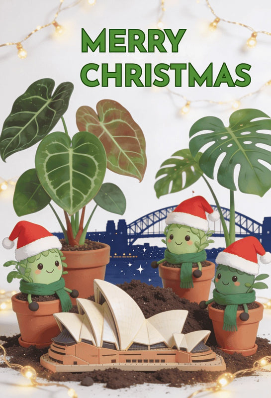 Christmas-themed plant decorations with Santa hats in front of the Sydney Opera House and Harbour Bridge.