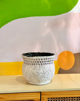 Bora Ceramic Pot - Plant Daddy
