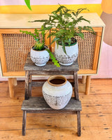 Byron Ceramic Pot - Plant Daddy