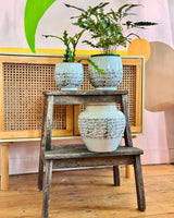 Byron Ceramic Pot - Plant Daddy