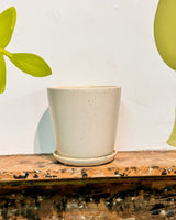 Cali Ceramic Pot - Plant Daddy