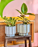 Cloud Burst Ceramic Pot - Plant Daddy