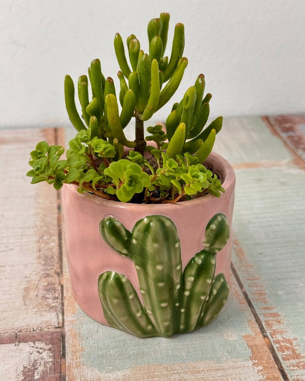 Cute Cactus Ceramic Pot - Plant Daddy