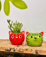 Fruity Cute Cat Ceramic Pot - Plant Daddy
