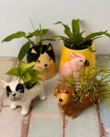 Fur - and - Feather Friends Ceramic Pot - Plant Daddy