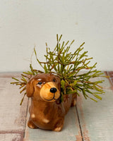 Fur - and - Feather Friends Ceramic Pot - Plant Daddy