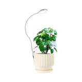 Grow light clip on - Plant Daddy