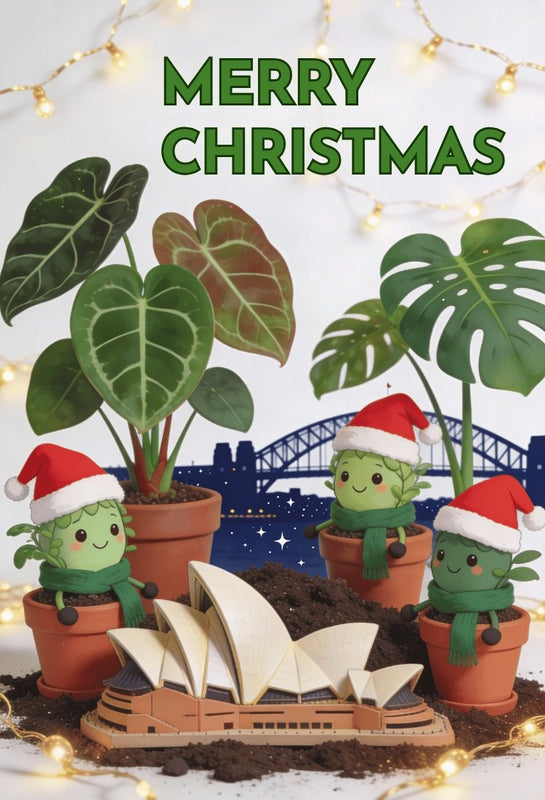 Christmas-themed potted plants with Santa hats in front of a Sydney Opera House model.