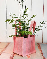 Mini Gift Jute Bag - Plant Daddy