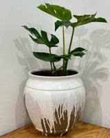 Paradigm Ceramic Pot - Plant Daddy