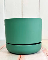 Selfwatering Plantpot by Mr. Kitly & Decor