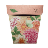 Dahlia Card of Seeds - Plant Daddy