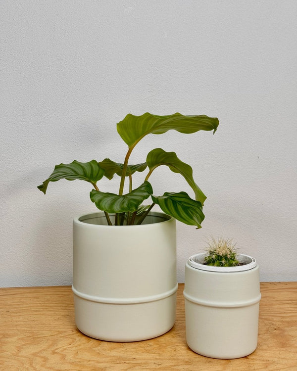 Pond Stoneware Pot - Plant Daddy