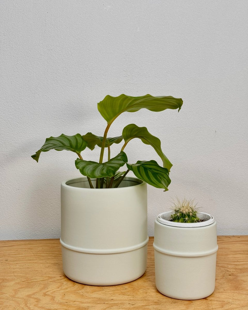 Pond Stoneware Pot - Plant Daddy