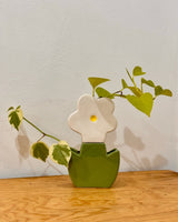 Potted Hydroponic Vases - Plant Daddy