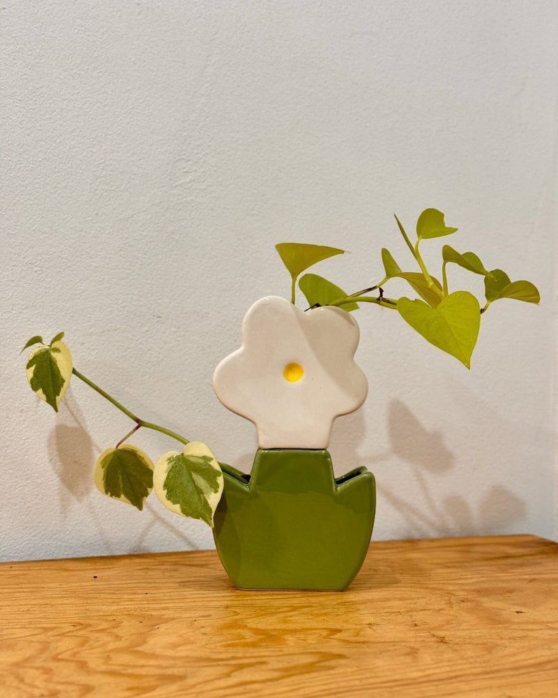 Potted Hydroponic Vases - Plant Daddy