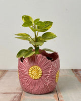 Pretty Petal Ceramic Pot - Plant Daddy