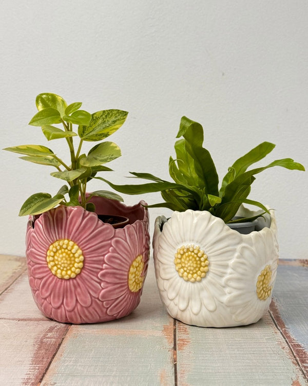 Pretty Petal Ceramic Pot - Plant Daddy