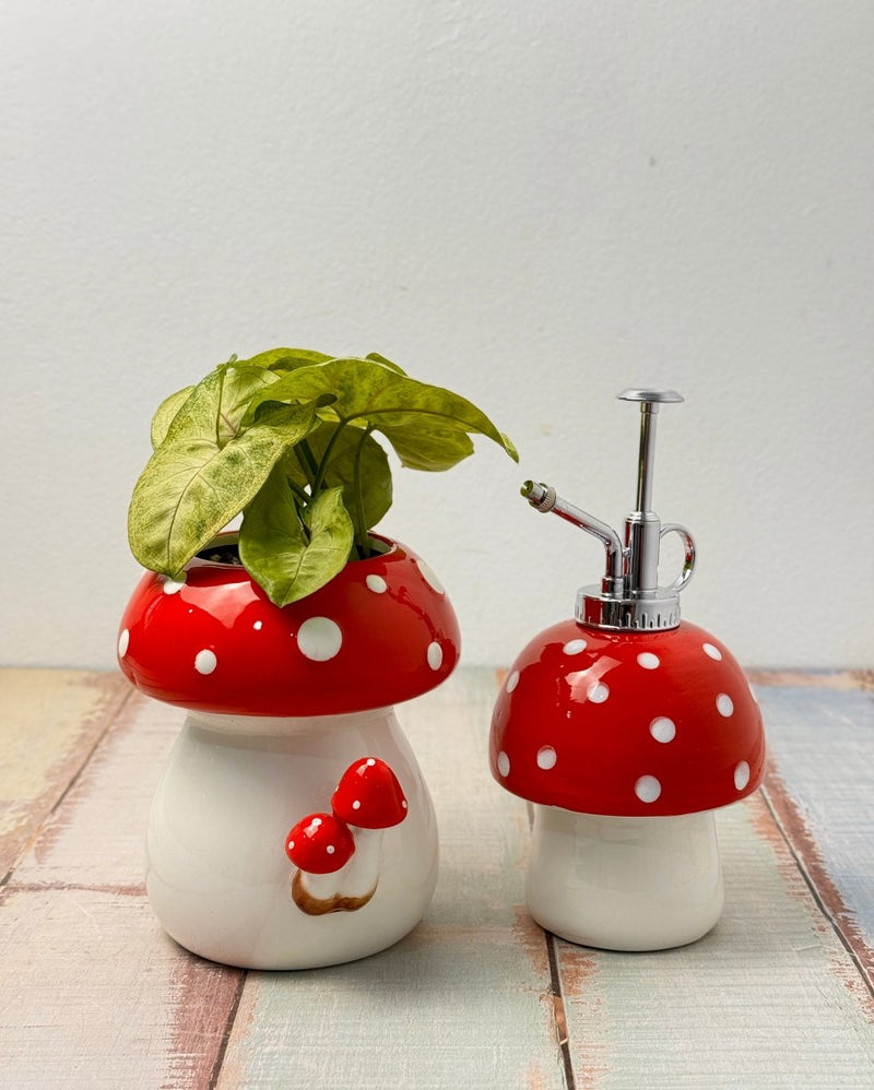 Shroomie Ceramic Mister - Plant Daddy
