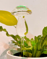 Shroomie Water Seeper - Plant Daddy