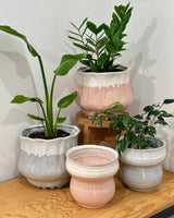 Sundae Ceramic Pot - Plant Daddy