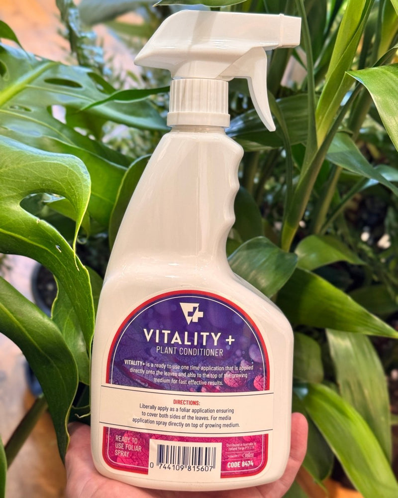 Zero Tolerance Herbal Spray