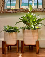 Wood & Earth Planter Set - Plant Daddy