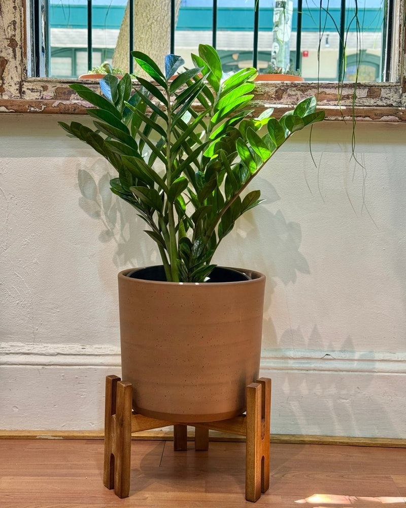 Wood & Earth Planter Set - Plant Daddy