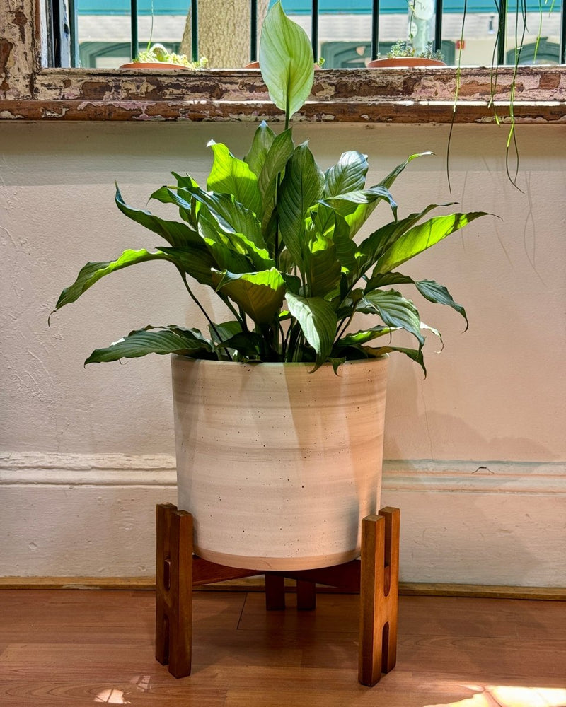 Wood & Earth Planter Set - Plant Daddy