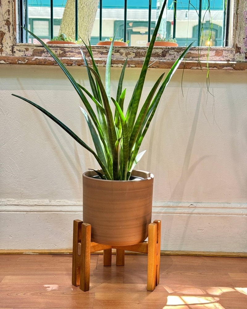 Wood & Earth Planter Set - Plant Daddy