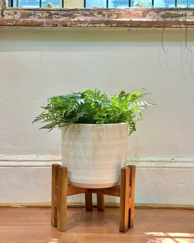 Wood & Earth Planter Set - Plant Daddy