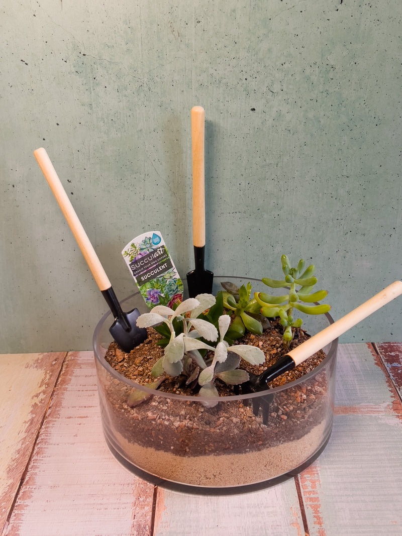 Mini Indoor Terrarium Tool Set