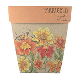 Marigolds Gift of Seeds (Australia Only)