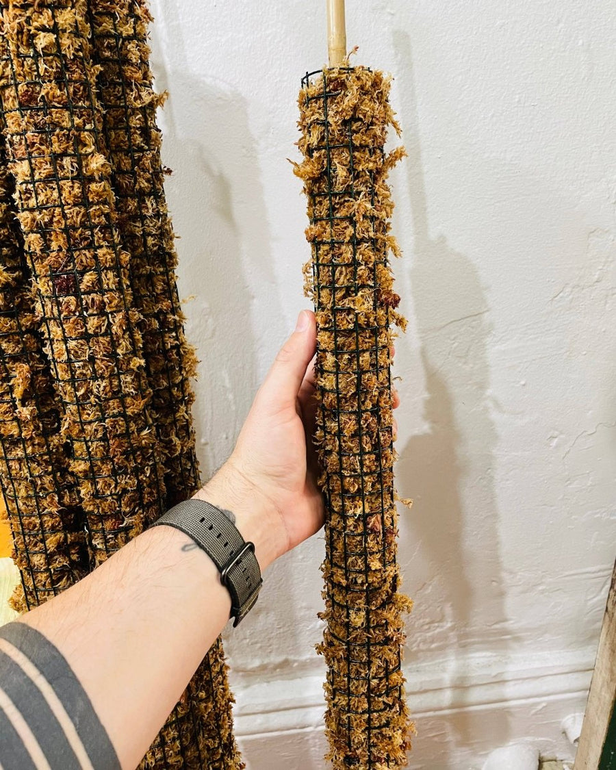 moss pole australia Hand made Moss Pole (Sydney pick up/hand delivery)